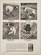 1964 Print Ad Purina Dog Chow Hunting Dog Working and Ranging - £10.77 GBP