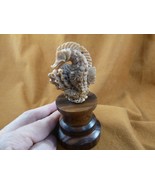 (tb-seah-3) little tan Seahorse Tagua NUT palm figurine Bali seahorses - $84.98 CAD