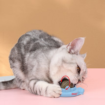 Pet Cat Mint Ball Toy Zihi Molar Pet Products - £9.14 GBP