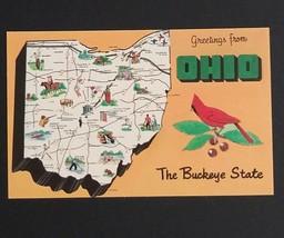 Ohio State Bird Map Large Letter Greetings Dexter Press c1960s Vtg UNP Postcard  - £3.99 GBP