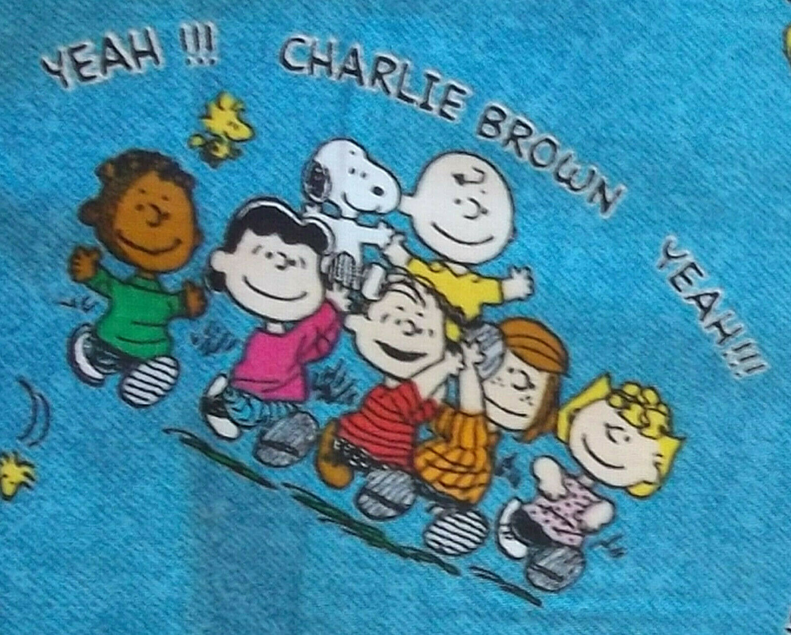 3 Yards Hurray for Charlie Brown Fabric Springs 2006 Denim Background Franklin - $29.69