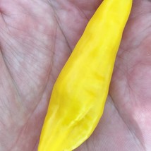 Aji Lemon Drop Limon Kellu Uchu Chile Pepper Usa Seller Garden - £9.73 GBP