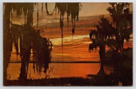 Spanish Moss Silhouetted Against Lovely Southern Sunset By Heilman Postc... - £4.74 GBP