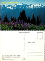 Washington Olympic Mountains Mount Olympus Lupines Purple Flowers VTG Postcard - £7.50 GBP