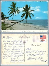 Florida Postcard - Palm Trees On A Beach Dr - £2.32 GBP