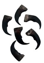 12 pc - 2 INCH SYNTHETIC GRIZZLY BEAR CLAW brown RESIN black animal claw... - $15.43