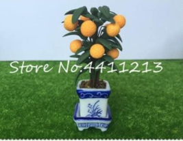 Balcony Patio Fruit Trees Kumquat Seed Orange Flores Tangerine Dwarf Citrus Juic - $9.89