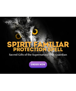 Spirit Familiar Protection Spell | Sacred Gifts of the Supernatural Owl ... - $200.00+