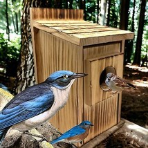 2-Pack Bird House - Outdoor- Bluebird, Finch, Wren, Chickadee, Tree Swallow - £37.24 GBP