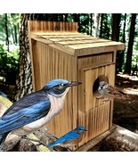 2-Pack Bird House - Outdoor- Bluebird, Finch, Wren, Chickadee, Tree Swallow - €41,25 EUR
