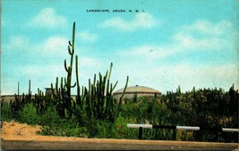 Landscape View Aruba Netherlands West Indies NWI UNP Linen Postcard B10 - £5.69 GBP