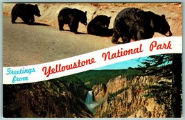 Dual View Banner Greetings Yellowstone National Park WY UNP Chrome Postcard J13 - £5.72 GBP
