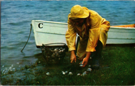 Vintage 1960&#39;s Postcard Fisherman Clamming on the New England Coast Maine - £3.81 GBP