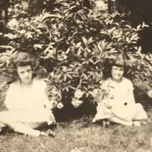 Children Girls Sisters Flower Rose Bush Photograph Vintage Found Photo Antique - £7.90 GBP