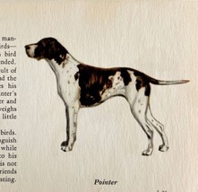 Pointer 1939 Sporting Dog Breed Art Ole Larsen Color Plate Print Antique... - £23.59 GBP