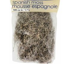 Cemetery Props-Natural SPANISH MOSS-Halloween Party Tombstone Zombie Decorations - £3.87 GBP