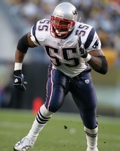 Willie Mc Ginest 8X10 Photo New England Patriots Picture Nfl Football - £3.88 GBP