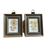 Set 2 Vintage Authentic Botanical Press Flowers Framed Wall Retro Folk A... - £31.04 GBP