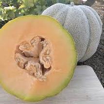 IROQUOIS MELON SEEDS Cucumis melo 50 Iroquois Melon Seeds for Planting - $17.00