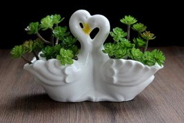 Funnuf Cute Animal White Ceramic Succulent Cactus Flower, 1Pcs. Swan Couple. - £33.66 GBP