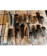 Wild Turkey Tom Gobbler Tail Fan Feathers for  Decoy Display Excellent 2... - $20.37 CAD