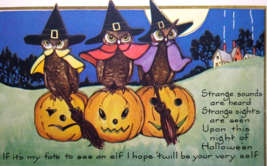 Halloween Postcard 3 Owls Dressed As Witches With Brooms Fantasy Whitney Unused - £57.58 GBP