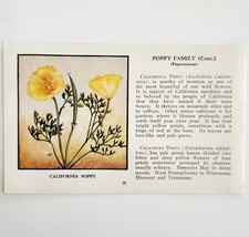 An item in the Art category: California Poppy Wild Flower 1932 Color Plate Print Irving Lawson PGBG21C