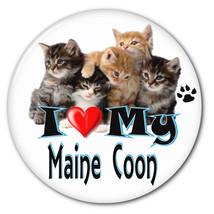 I Love My Maine Coon Cat / Kitten 3&quot; Campaign Pin Back Button For Your Favorite - £6.36 GBP