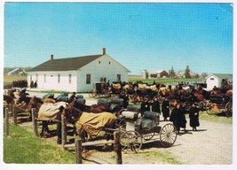 Ontario Postcard Elmira Old Order Mennonites Wagons Horses - $2.05