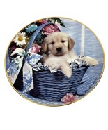Hamilton Collection Golden Bouquet Golden Puppy Portraits Paulette Brown - $185.41 MXN