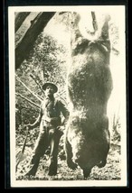 Vintage Postcard RPPC Hunter Ketchikan Alaska Brown Bear Trophy Photo - $14.84