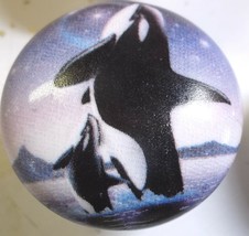 Cabinet Knobs w/ Whale Killer Orca Willie #2 - $4.55