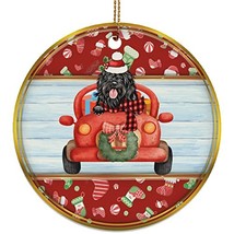 hdhshop24 Funny Portuguese Water Dog Ride Car Ornament Gift Pine Tree De... - $19.75