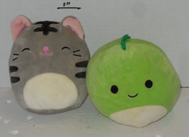Lot of 2 5" Squishmallows Tabby The Cat and Danny the Dinosaur - $14.43