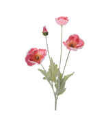 Poppy Floral Spray (Set of 6) - 588826 - $1,054.67 MXN