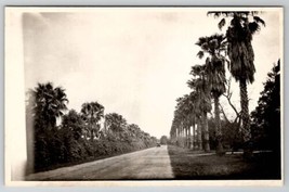 RPPC Beautiful Palm Tree Lines Street Old Car Dirt Road c1930s Postcard B25 - £6.21 GBP