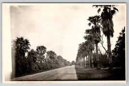 RPPC Beautiful Palm Tree Lines Street Old Car Dirt Road c1930s Postcard B25 - £5.97 GBP