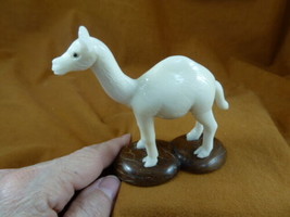 (tne-cam-455a) baby Camel desert TAGUA NUT nuts palm figurine carving dr... - $31.55