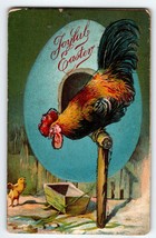 Easter Postcard Perched Rooster Looks At Baby Chick Vintage Greetings Embossed - £8.59 GBP