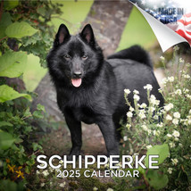 SCHIPPERKE Wall Calendar 2025 Animal DOG PET Lover Gift - £19.13 GBP