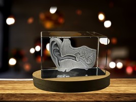 LED Base included | Ear-Art-For-Otolaryngologist |  3D-Engraved-Crystal - $22.09 - $220.98