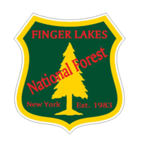 5&quot; finger lakes national forest bumper sticker decal usa made - £21.91 GBP