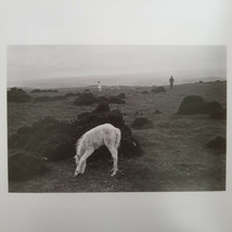 David Hurn - Signed Photo - Magnum Square Print Limited Edition - $479.25