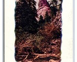 Prospect Dome Cheynne Canyon Pikes Peak Colorado CO UNP Unused UDB Postc... - $2.92