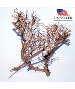 NATURAL DRIFTWOOD #BS004 WYSIWYG - AQUASCAPING, SUPER PRICE!!! BONSAI TR... - €50,64 EUR