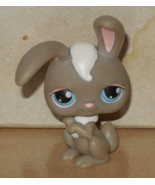 Hasbro LITTLEST PET SHOP LPS #14 Rabbit Bunny White Gray blue eyes - €13,08 EUR