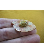 (Y-LAD-11) Ladybug ladybird beetle bug figurine on leaf carving SOAPSTON... - £6.72 GBP