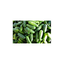 Cucumber Homemade Pickles Great Heirloom Vegetable 1 Oz Seeds Fresh Gard... - £19.25 GBP