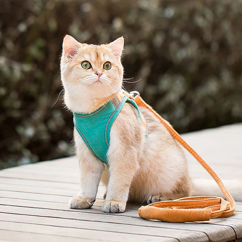 House Home New Cat Set Adjustable Harness Vest Training Accessories Puppy Soft M - £24.35 GBP