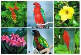 Fiji Postcard Colorful Birds &amp; Flowers Multi View Musk Parrots Red Ginger - £1.63 GBP